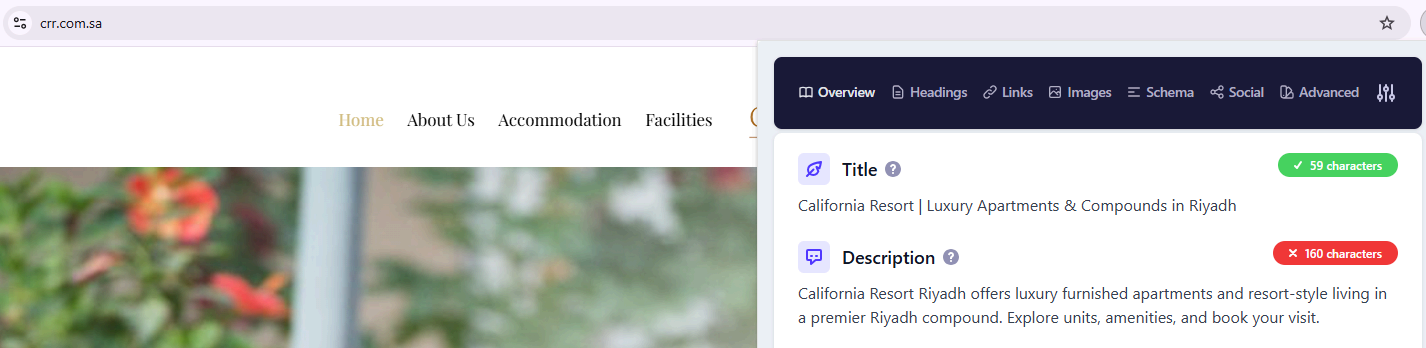 Homepage metadata audit: a 59-character title and 160-character description, both within recommended limits.